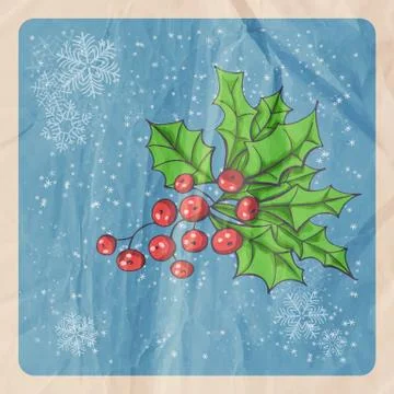 Holly berry Stock Illustration