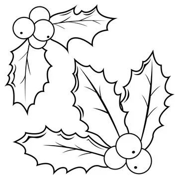 Holly berry sprigs. Vector black and white coloring page. Stock Illustration