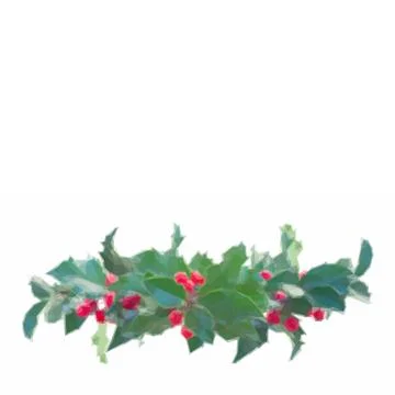 Holly branch border Stock Illustration