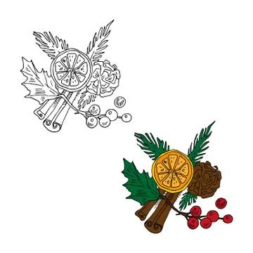 Holly, cinnamon, pinecone, tangerine vector illustration in color and outline Illustrazione stock