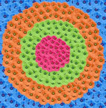 Holly Hock Design Stock Illustration