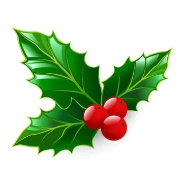 Holly Stock Illustration
