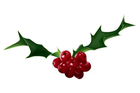 Holly Stock Illustration