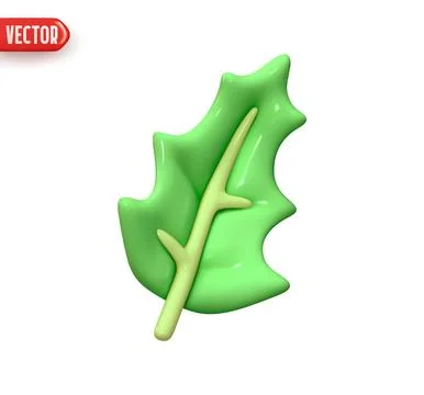 Holly leaf. Green mistletoe leaf. Decorative Christmas element for design. Re Stock Illustration