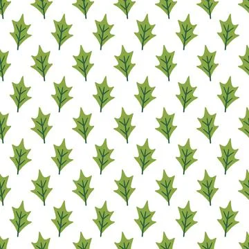 Holly leaves seamless pattern Stock Illustration