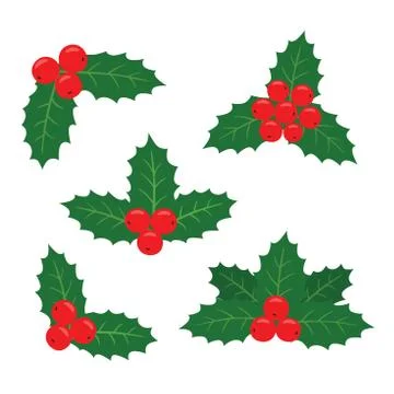 Holly plant. Vector illustration of a set of samples for the cards. Stock Illustration