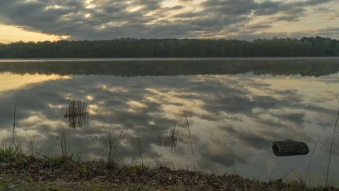 Holly Springs Lake Sunrise Fog on the surface Stock Footage