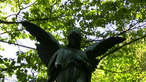 Holly statue Stock-Footage 4992752