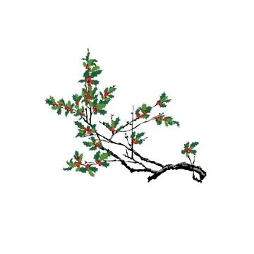 The holly tree isolated on white background - Vector Stock Illustration