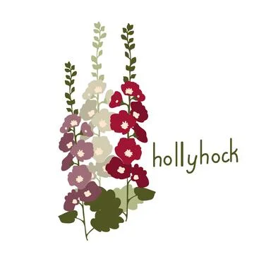 Hollyhock vector flower Stock Illustration