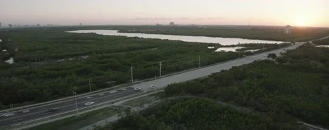Hollywood beach 15 Video stock 233466717