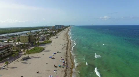 Hollywood Beach FL  Vídeos de archivo 52129092