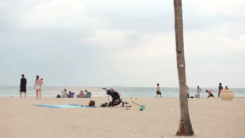 At Hollywood Beach Stock Footage 235727826