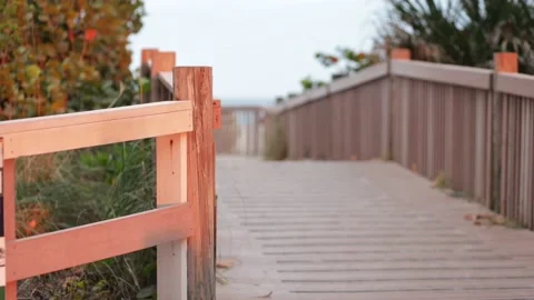At Hollywood Beach Stock Footage 235727990