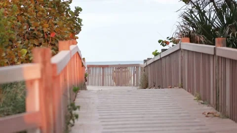 At Hollywood Beach Stock Footage 235728059