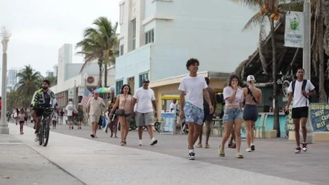 Hollywood Beach Stock Footage 235728788