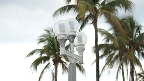 At Hollywood Beach Stock Footage 235729465