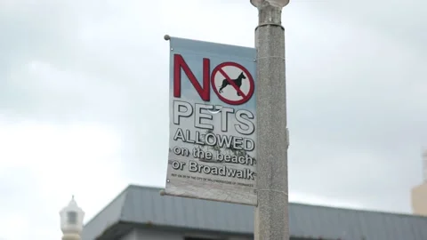 At Hollywood Beach Stock Footage 235729466