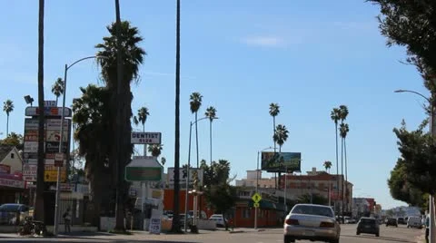 Hollywood Blvd Video stock 20439216