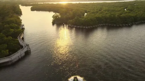 Hollywood, Florida Sunset in mangroves  Stock Footage 232395953
