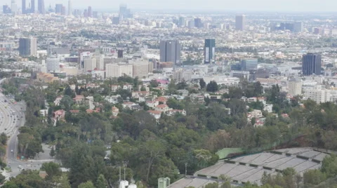 Hollywood Stock Footage 50195108