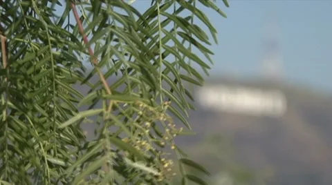 Hollywood Hills Stock Footage 10579187