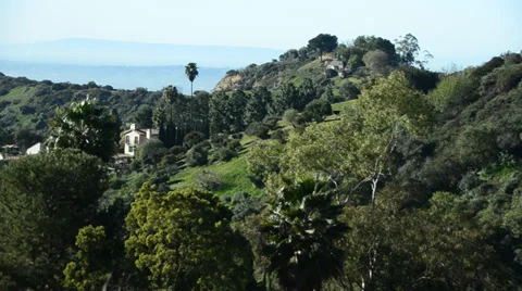 Hollywood Hills Stock Footage 32241032