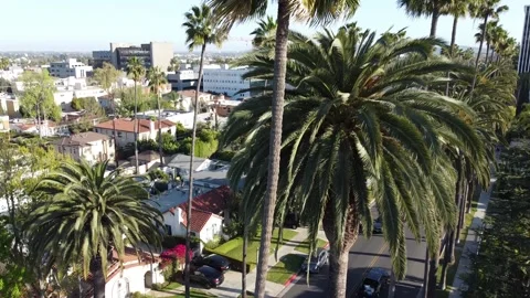 Hollywood hills Stock Footage 231234289