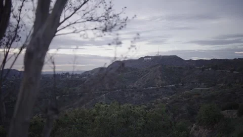 Hollywood Hills View With Tree Foreground and Focus Transition Stock Footage 333223249