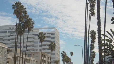 Hollywood Office Building Stock Footage 101440496