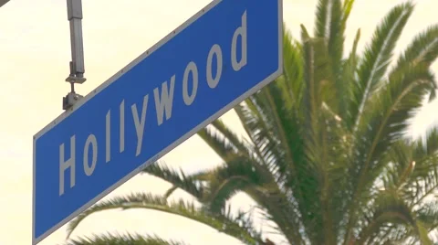 Hollywood Palm Tree Low Angle Footage Sky Road Signal Sign Mountain California Stock Footage 60617632