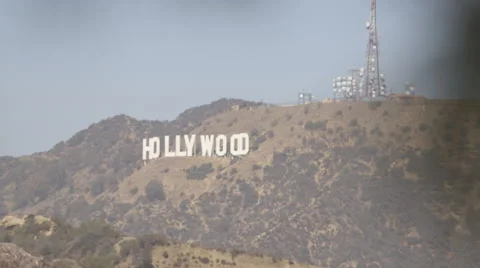 Hollywood sign focus pull from pine needle tree Stock Footage 62426711