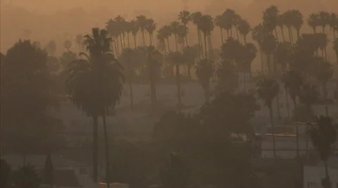 Hollywood sunset 3 Stock Footage 415074