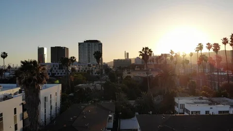 Hollywood Sunset with Palm Trees Video stock 101079261