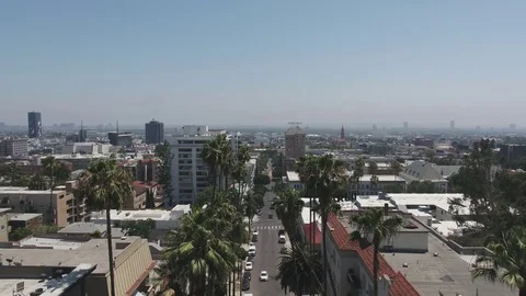 HOLLYWOOD - Through Palm Trees Stock Footage