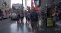 Hollywood Walk of Fame in the afternoon, Los Angeles, USA 4k or 4k+ Resolution