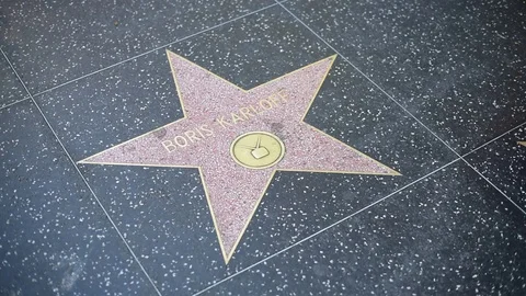 Hollywood Walk of Fame Stock Footage 83043353