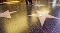 Hollywood Walk of Fame Time Lapse of Tourists walking 4k or 4k+ Resolution