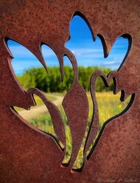 Holo Leaf Stock Photos