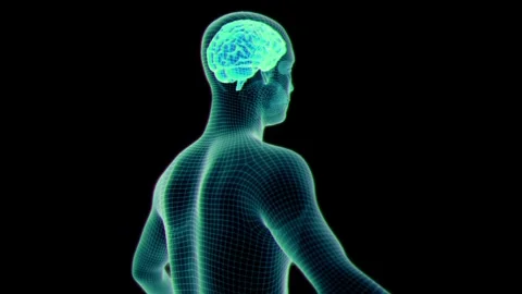 Hologram Body Scan Stock Footage 289701113