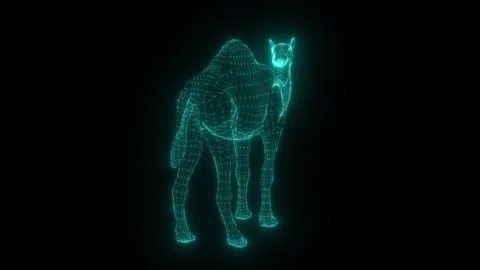 Hologram camel wireframe 3d digital desert technology Stock Footage 338238358