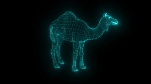 Hologram camel wireframe 3d digital desert technology Stock Illustration