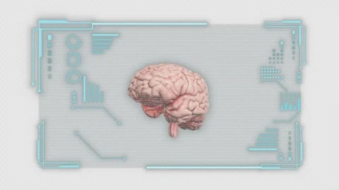 Hologram of a human heart on alpha background. Medicine, healthcare and anatomy  Stock Footage 343668317