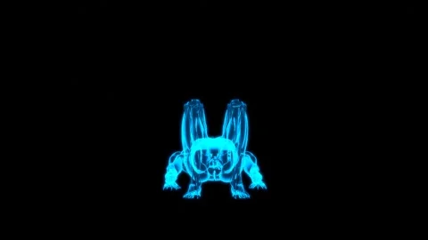 Hologram Muscle Dead Bug Exercise 180 HUD Stock Footage 335870545