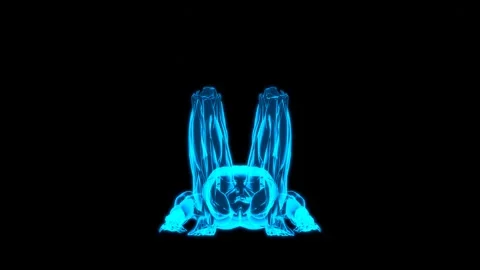 Hologram Muscle Dead Bug Exercise Front HUD Stock Footage 335870562