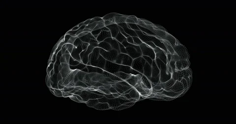 Hologram representation screen 3d of brain in the human body - loop Stock Footage 109291019