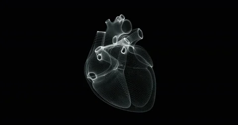 Hologram representation screen 3d of heart beating in the human body Stock Footage 109291571