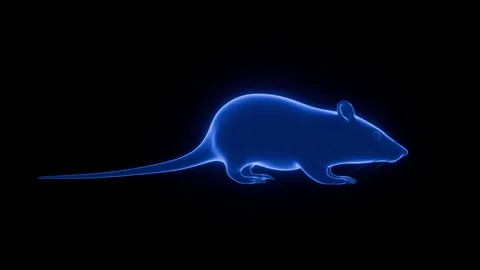Hologram  rotating in digital space 3D render Stock Footage 330795577