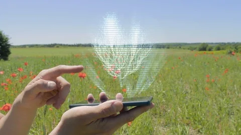 Hologram of tree on a smartphone Stock Footage 94230254