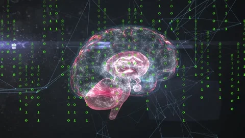 Holographic brain appearing on startup pulse, rotating and pulsing to visualize Stock Footage 334337820